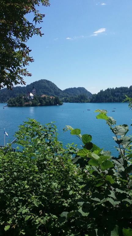 Apartment Stepanjan Bled Esterno foto